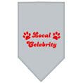 Load image into Gallery viewer, Pet and Dog Bandana Screen Printed, "Local Celebrity"