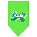 Load image into Gallery viewer, Pet and Dog Bandana Screen Printed, "Lucky Swoosh"