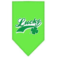 Load image into Gallery viewer, Pet and Dog Bandana Screen Printed, "Lucky Swoosh"