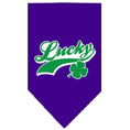 Load image into Gallery viewer, Pet and Dog Bandana Screen Printed, "Lucky Swoosh"
