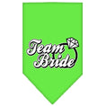 Load image into Gallery viewer, Pet and Dog Bandana Screen Printed, "Team Bride"