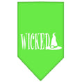 Load image into Gallery viewer, Halloween Pet and Dog Bandana Screen Printed, "Wicked"