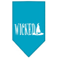 Load image into Gallery viewer, Halloween Pet and Dog Bandana Screen Printed, "Wicked"