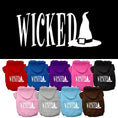 Load image into Gallery viewer, Halloween Pet Hoodie "Wicked"