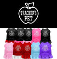 Load image into Gallery viewer, Pet Dress "Teacher's Pet"