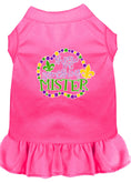 Load image into Gallery viewer, Pet Dress "Throw Me Something Mister"