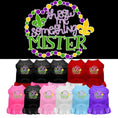 Load image into Gallery viewer, Pet Dress "Throw Me Something Mister"