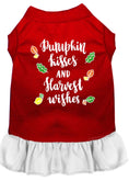 Load image into Gallery viewer, Pet Dress "Pumpkin Kisses and Harvest Wishes"