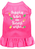Load image into Gallery viewer, Pet Dress "Pumpkin Kisses and Harvest Wishes"