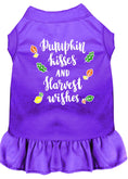 Load image into Gallery viewer, Pet Dress "Pumpkin Kisses and Harvest Wishes"