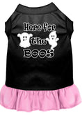 Load image into Gallery viewer, Pet Dress "Here For The Boos"
