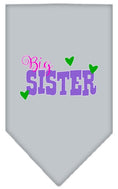 Load image into Gallery viewer, Pet and Dog Bandana Screen Printed, "Big Sister"