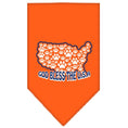 Load image into Gallery viewer, Pet and Dog Bandana Screen Printed, "God Bless The USA"