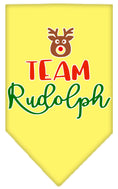 Load image into Gallery viewer, Christmas Pet and Dog Bandana Screen Printed, "Team Rudolph"