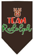Load image into Gallery viewer, Christmas Pet and Dog Bandana Screen Printed, "Team Rudolph"