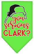 Load image into Gallery viewer, Christmas Pet and Dog Bandana Screen Printed, "You Serious Clark?"