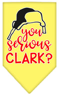 Load image into Gallery viewer, Christmas Pet and Dog Bandana Screen Printed, "You Serious Clark?"