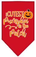 Load image into Gallery viewer, Halloween Pet and Dog Bandana Screen Printed, "Cutest Pumpkin In The Patch"