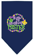 Load image into Gallery viewer, Pet and Dog Bandana Screen Printed, "Throw Me Something Mister"