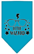 Load image into Gallery viewer, Pet and Dog Bandana Screen Printed, "Little Wizard"