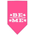 Load image into Gallery viewer, Thanksgiving Pet and Dog Bandana Screen Printed, "Be Thankful For Me"