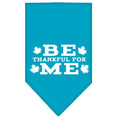 Load image into Gallery viewer, Thanksgiving Pet and Dog Bandana Screen Printed, "Be Thankful For Me"