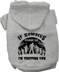 Load image into Gallery viewer, Halloween Pet Hoodie "If Zombies Chase Us, I'm Tripping You"