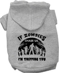 Load image into Gallery viewer, Halloween Pet Hoodie "If Zombies Chase Us, I'm Tripping You"