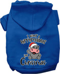 Load image into Gallery viewer, Christmas Pet Hoodie "I Want A Hippopotamus For Christmas"