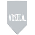 Load image into Gallery viewer, Halloween Pet and Dog Bandana Screen Printed, "Wicked"
