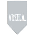 Load image into Gallery viewer, Halloween Pet and Dog Bandana Screen Printed, "Wicked"