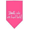 Load image into Gallery viewer, Halloween Pet and Dog Bandana Screen Printed, "Black Cats are Bad Luck"