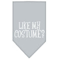 Load image into Gallery viewer, Halloween Pet and Dog Bandana Screen Printed, "Like My Costume?"