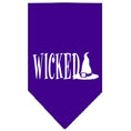 Load image into Gallery viewer, Halloween Pet and Dog Bandana Screen Printed, "Wicked"