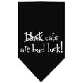 Load image into Gallery viewer, Halloween Pet and Dog Bandana Screen Printed, "Black Cats are Bad Luck"