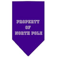 Load image into Gallery viewer, Christmas Pet and Dog Bandana Screen Printed, "Property Of North Pole"