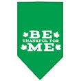 Load image into Gallery viewer, Thanksgiving Pet and Dog Bandana Screen Printed, "Be Thankful For Me"