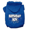 Load image into Gallery viewer, Pet, Dog & Cat Hoodie Screen Printed, "Birthday Boy"