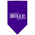 Load image into Gallery viewer, Pet and Dog Bandana Screen Printed, "Bully"