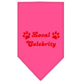 Load image into Gallery viewer, Pet and Dog Bandana Screen Printed, "Local Celebrity"