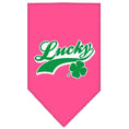 Load image into Gallery viewer, Pet and Dog Bandana Screen Printed, "Lucky Swoosh"