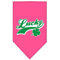 Load image into Gallery viewer, Pet and Dog Bandana Screen Printed, "Lucky Swoosh"