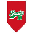 Load image into Gallery viewer, Pet and Dog Bandana Screen Printed, "Lucky Swoosh"