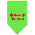 Load image into Gallery viewer, Pet and Dog Bandana Screen Printed, "Local Celebrity"