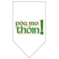 Load image into Gallery viewer, Pet and Dog Bandana Screen Printed, "Pog Mo Thoin"