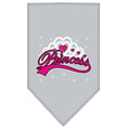 Load image into Gallery viewer, Pet and Dog Bandana Screen Printed, "I'm A Princess"