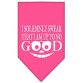 Load image into Gallery viewer, Pet and Dog Bandana, "I Solemnly Swear That I Am Up To No Good"