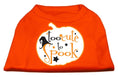 Load image into Gallery viewer, Halloween Pet Dog & Cat Shirt Screen Printed, "Too Cute To Spook"