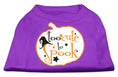 Load image into Gallery viewer, Halloween Pet Dog & Cat Shirt Screen Printed, "Too Cute To Spook"