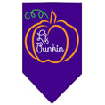 Load image into Gallery viewer, Halloween Pet and Dog Bandana Screen Printed, "Lil Punkin"